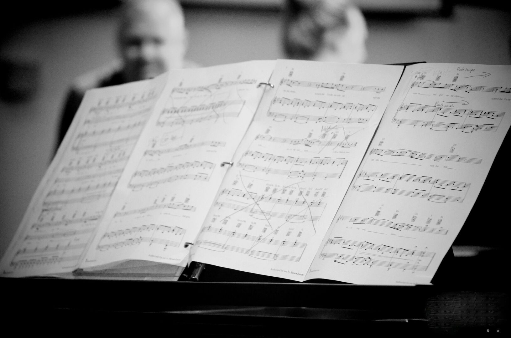 Voicing & Regulation